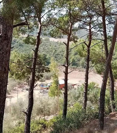 Hébergement de vacances ıpek çiftlik Tatil Evi