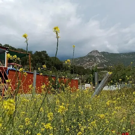Hébergement de vacances ıpek çiftlik Tatil Evi Uzumlu (Mediterranean)
